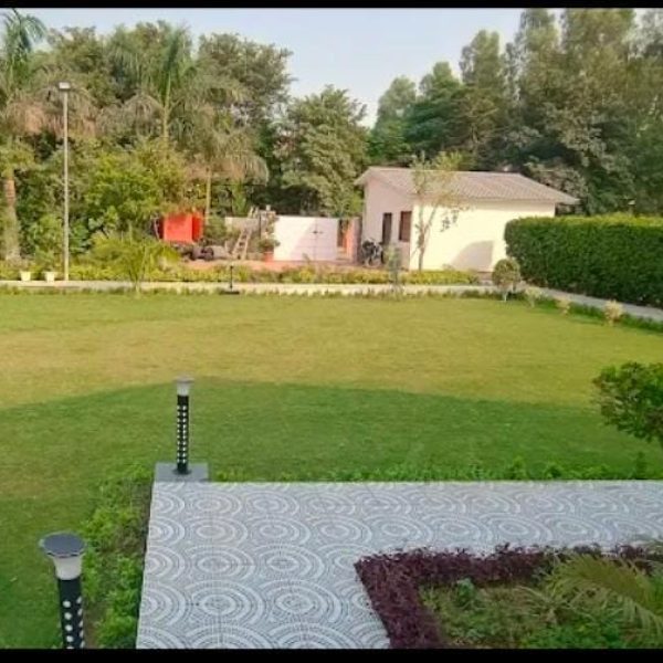 WhatsApp Image 2026-03-23 at 4.47.01 PM (1)