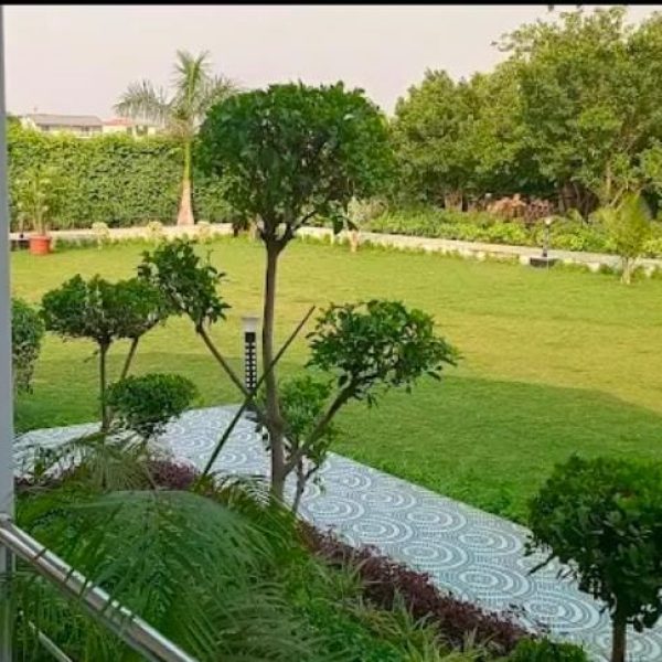 WhatsApp Image 2026-03-23 at 4.47.02 PM (1)